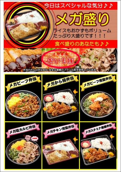 メガシリーズ